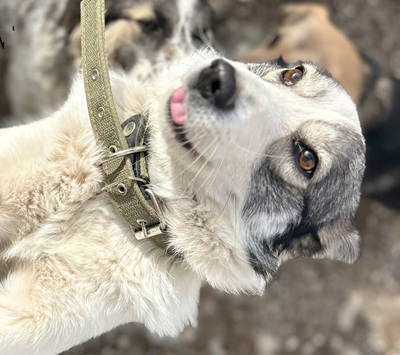 Хорошая Новость!